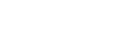 Bold AI Solutions